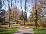 000_0273.jpg