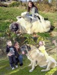 gigantic_dog.jpg