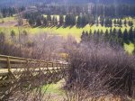 000_0288.jpg