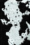 mushroom cave revised copy.jpg
