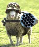 pic.php?f=new_taliban_secret_weapon.jpg