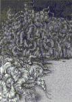 illithocyte.gif
