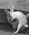 how_the_easter_eggs_are_really_made.jpg
