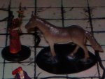 mule01.JPG