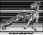 02lion1.gif