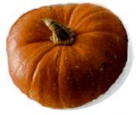 one-pumpkin.jpg