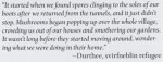 21. Quote (2012) - Into the Unknown.jpg