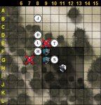 forest6.jpg