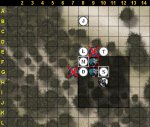 forest7.jpg