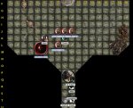 Temple1_r1.jpg