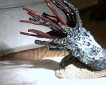 wyrm2.jpg