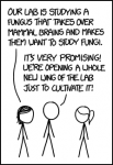 33. Mycology.png