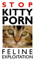 kitty.gif