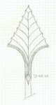 leafspear.jpg