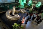 titanoboa-getty.jpg