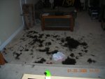 DSCN1004.JPG