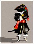 piratecatshadow.jpg
