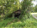 overgrown_garage_by_seeker_of_revelation-d7xv1wr.png