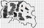 Mushrooms3.JPG