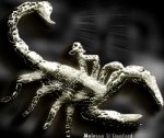 scorpion.jpg