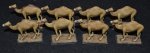 mini_84_camels_04.jpeg