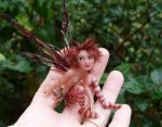pixie002.jpg