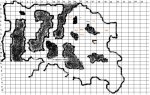 Mushrooms5.JPG