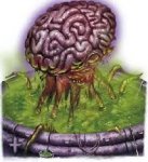 elder brain 001.jpg