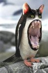 Penguat.jpg