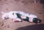 kitty-debauch.jpeg