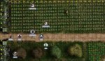 vsmadman4.jpg