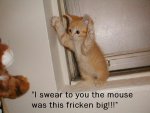 bigmouse (2).jpg