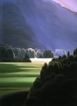 Valley Forest.jpg