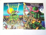 0806tmnturtles.jpg