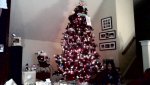 WIN_20141225_075602.JPG