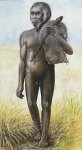 Homoflorensisillus.jpg