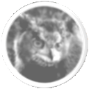 ursa_maximus.png