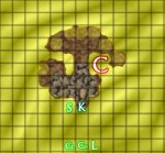 False-Oasis.jpg