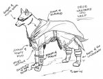 snazzy_wolf.jpg