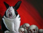 bunnicula1.jpg