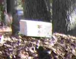 Treasure Chest.jpg