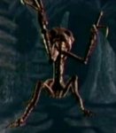 creature.JPG