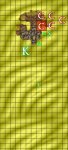 False-Oasis-Round-4.jpg