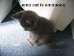 EmoLol.JPG
