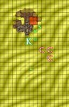 False-Oasis-Round-4-2.jpg