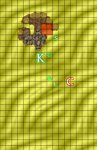 False-Oasis-Round-5.jpg