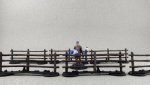 fences3.JPG