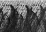 vararfeldr - fake-fur cloak.png vararfeldr - fake-fur cloak.png