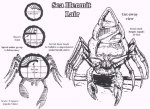 SeaHermitLair.jpg