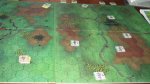 COH3.jpg